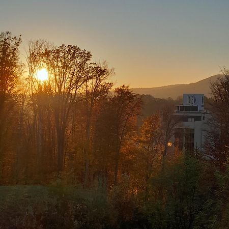 Hotel Casa Eldorado Sovata Zewnętrze zdjęcie